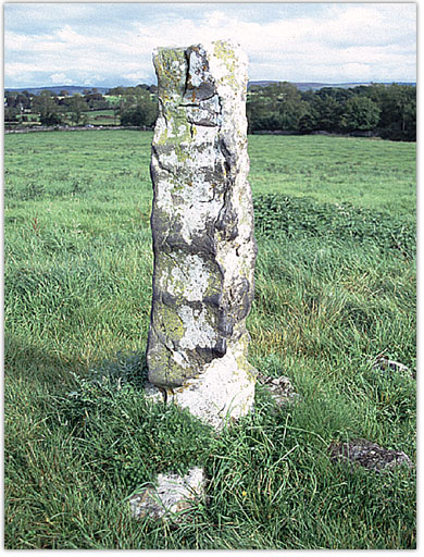 Standing stone near Ardrahan, Co. Galway. Photo taken in September 2003.